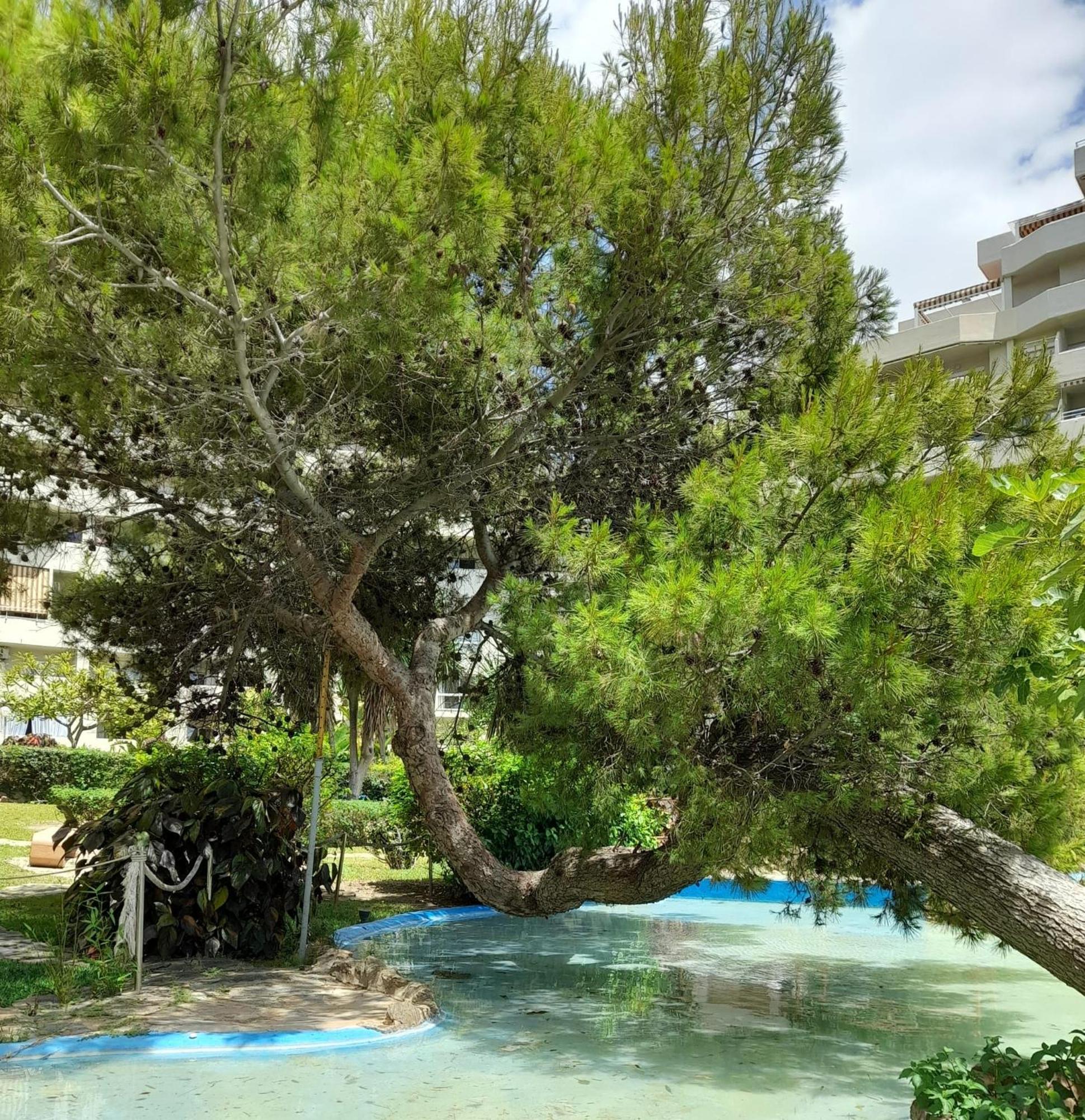 Benalbeach R&R Suite Benalmadena Bagian luar foto